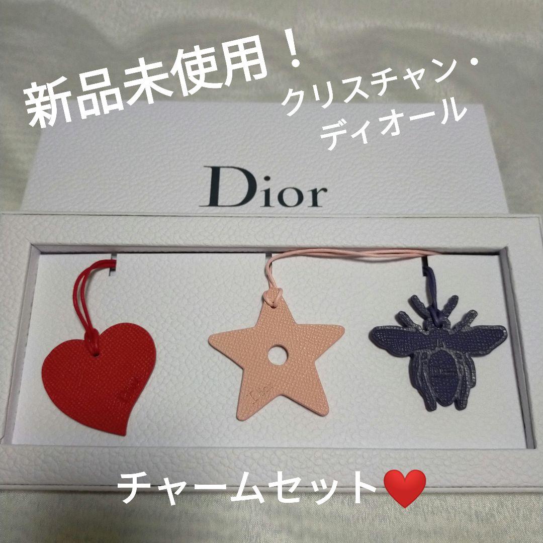 Dior ディオール バックチャーム オーナメント レザー キーホルダー 未