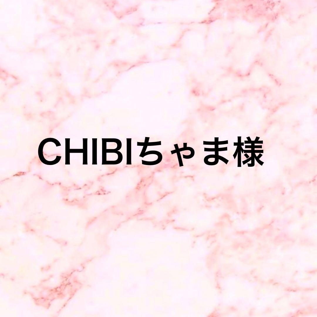 CHIBIちゃま様 リクエスト 5点 セラミック粒へ変更　まとめ商品 Chibi Resonator Acrylic Stamp Display | Wuthering Waves Shop