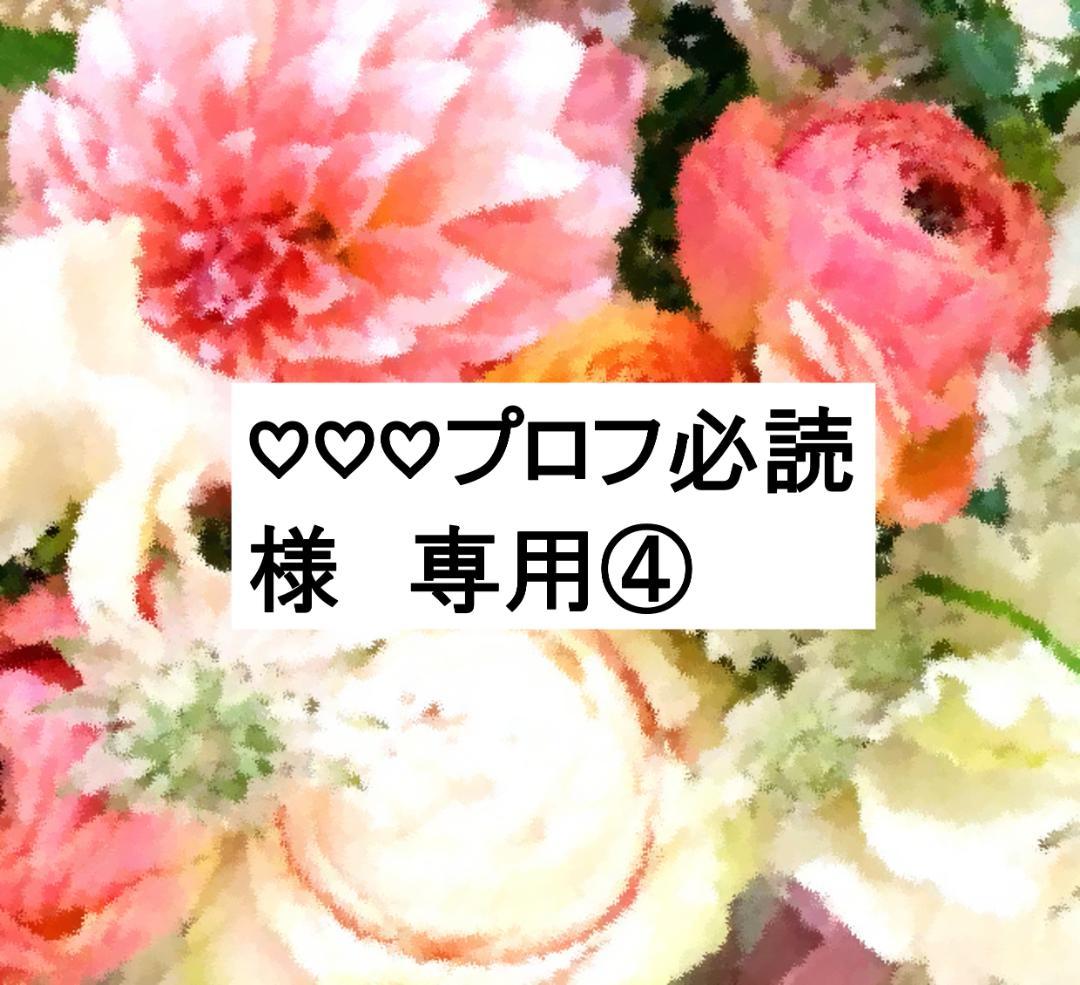 ♡♡♡プロフ必読④ ディスク全未開封 2023年 最新版フルセット DWE DWEブック＆CD・ステップバイステップ｜ディズニー英語システム中古