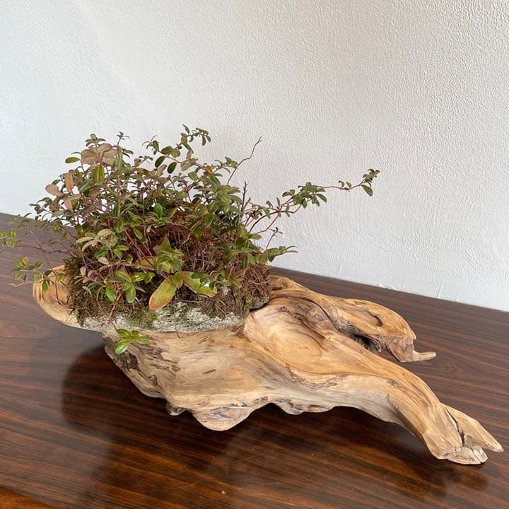 花台 盆栽台 流木インテリア 64 - メルカリ