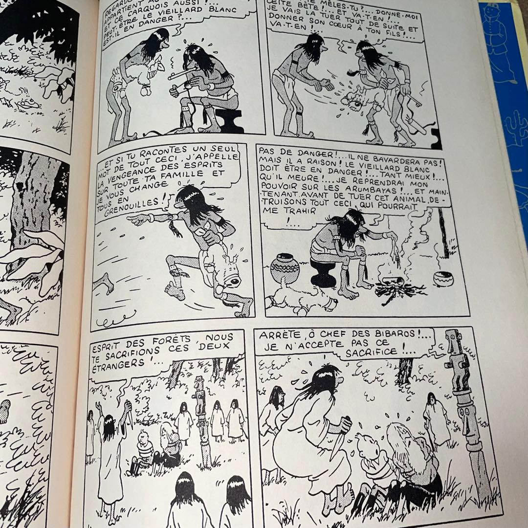 能登地震寄付 OREILLE CASSE タンタンの冒険 フランス語 大型本 - メルカリ