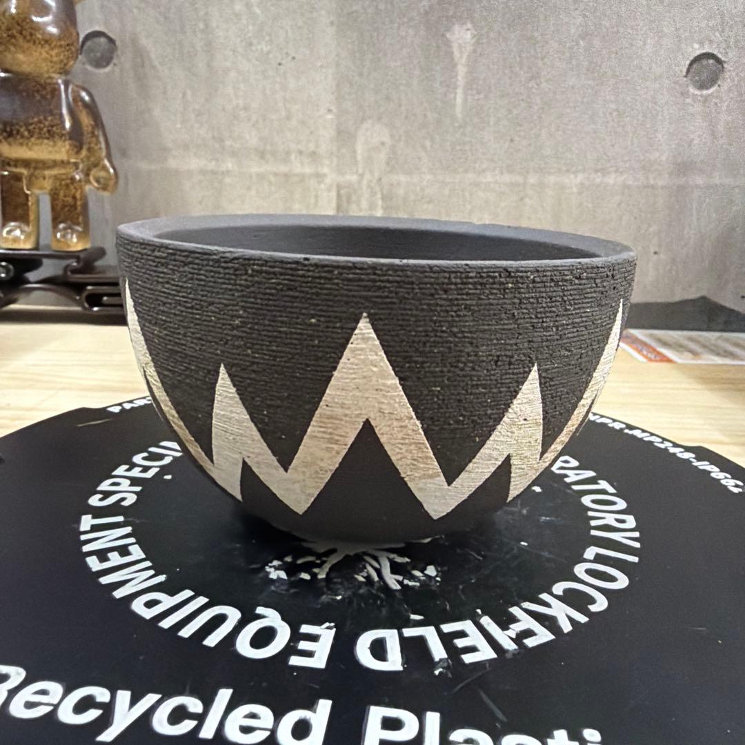 手作植木鉢 Mサイズ 検（ 塊根植物 グラキリス パキプス アガベ