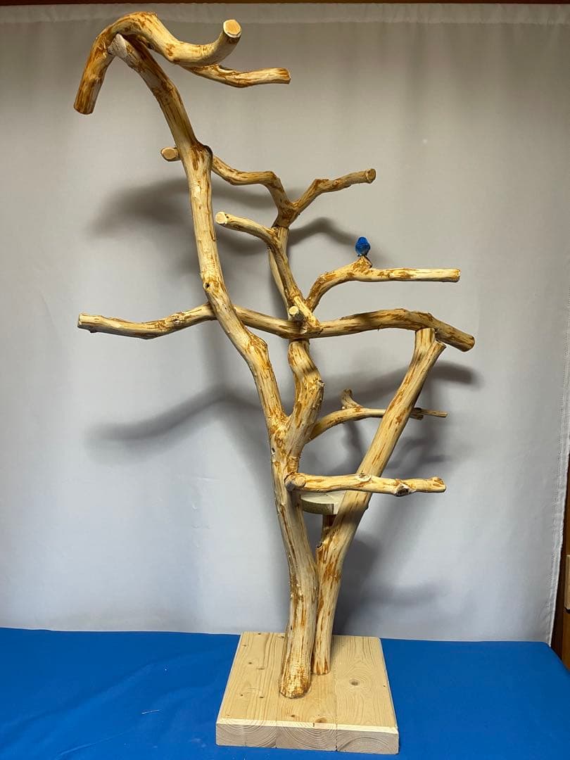 天然木白木バードジム 海からの贈り物〜 流木バードジム L ｜鳥さんのアスレチック