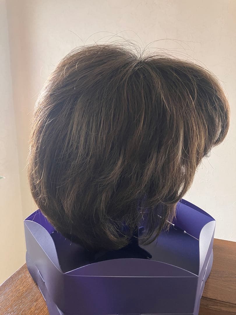 えいこねー様専用 フォンテーヌ スワニー フルウィッグ SGW10 R465