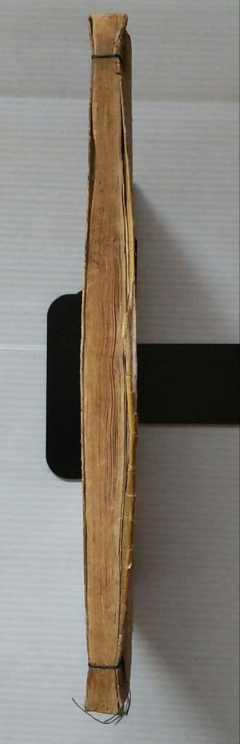 超希少 名家画譜 初編 須原屋佐助 金花堂