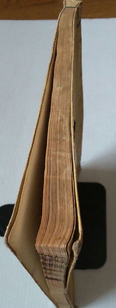 超希少 名家画譜 初編 須原屋佐助 金花堂