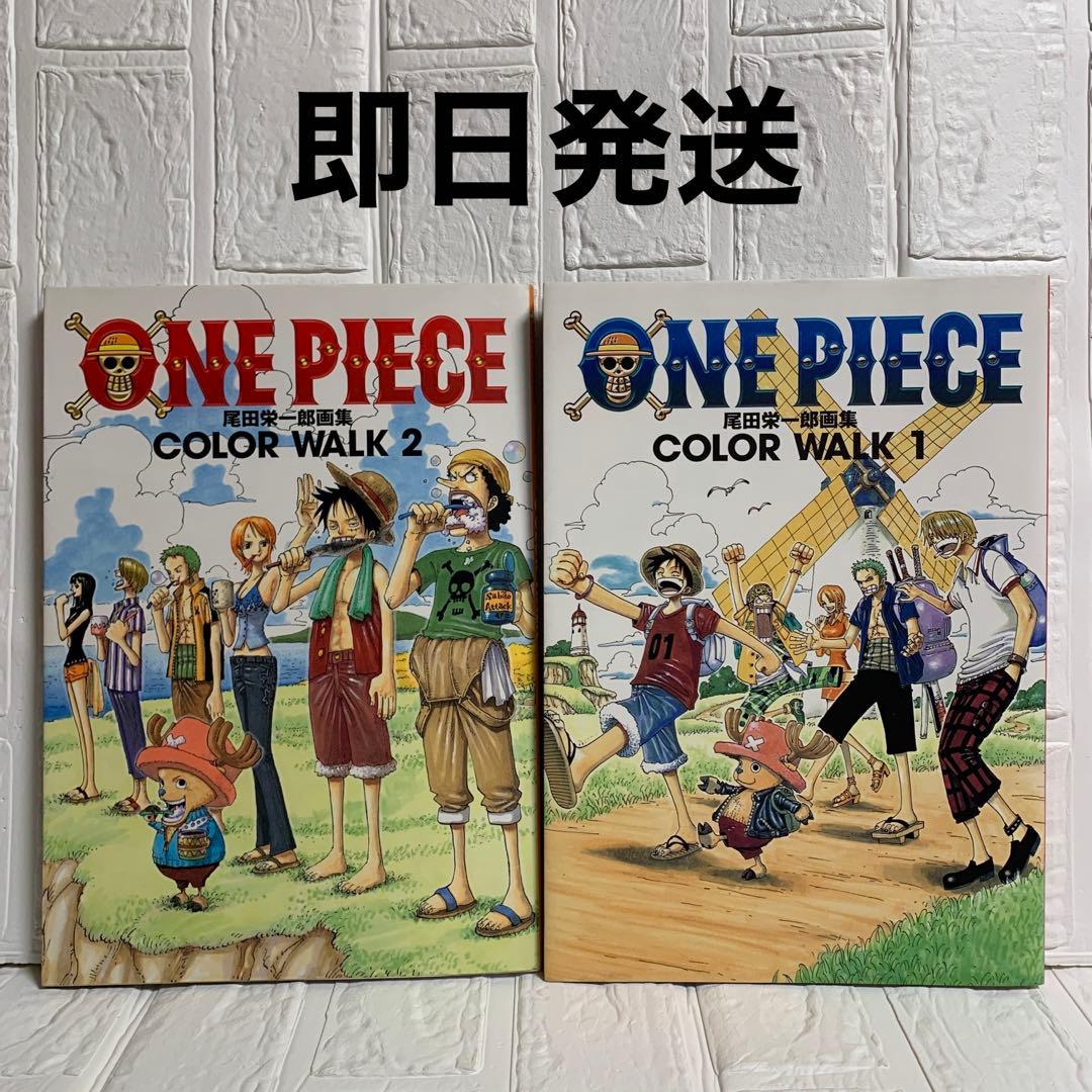 One piece : Color walk : 尾田栄一郎画集 ①②2冊セット - メルカリ