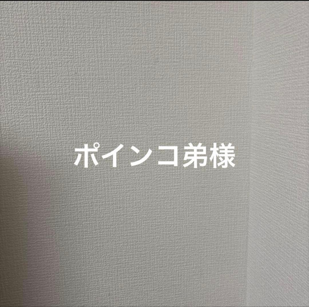 ポインコ弟様　メンズ　フーディダウン　アウター　ブラック　軽量　撥水　M phenix（プラスフェニックス） ダウンジャケット ジャンパー メンズ