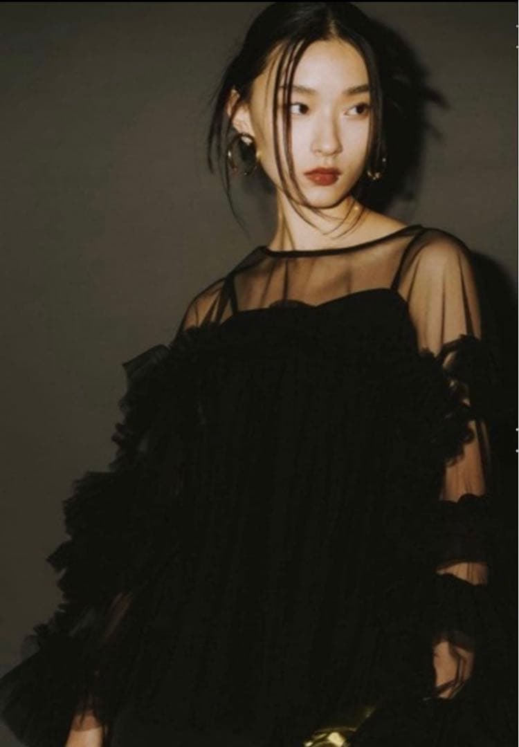 トップス ANDRESD decorative tulle tops ANDRESD ドレス デコラティブチュールトップス / decorative tulle