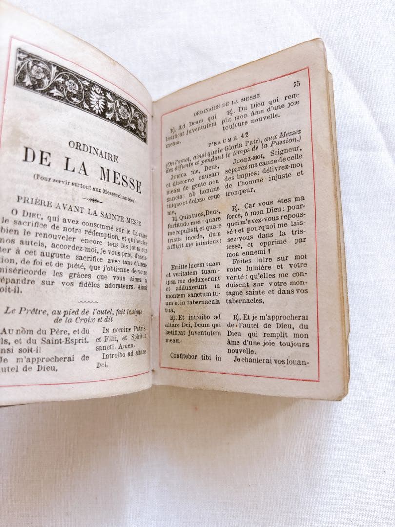 フランスアンティーク 1888年聖書・セルロイド