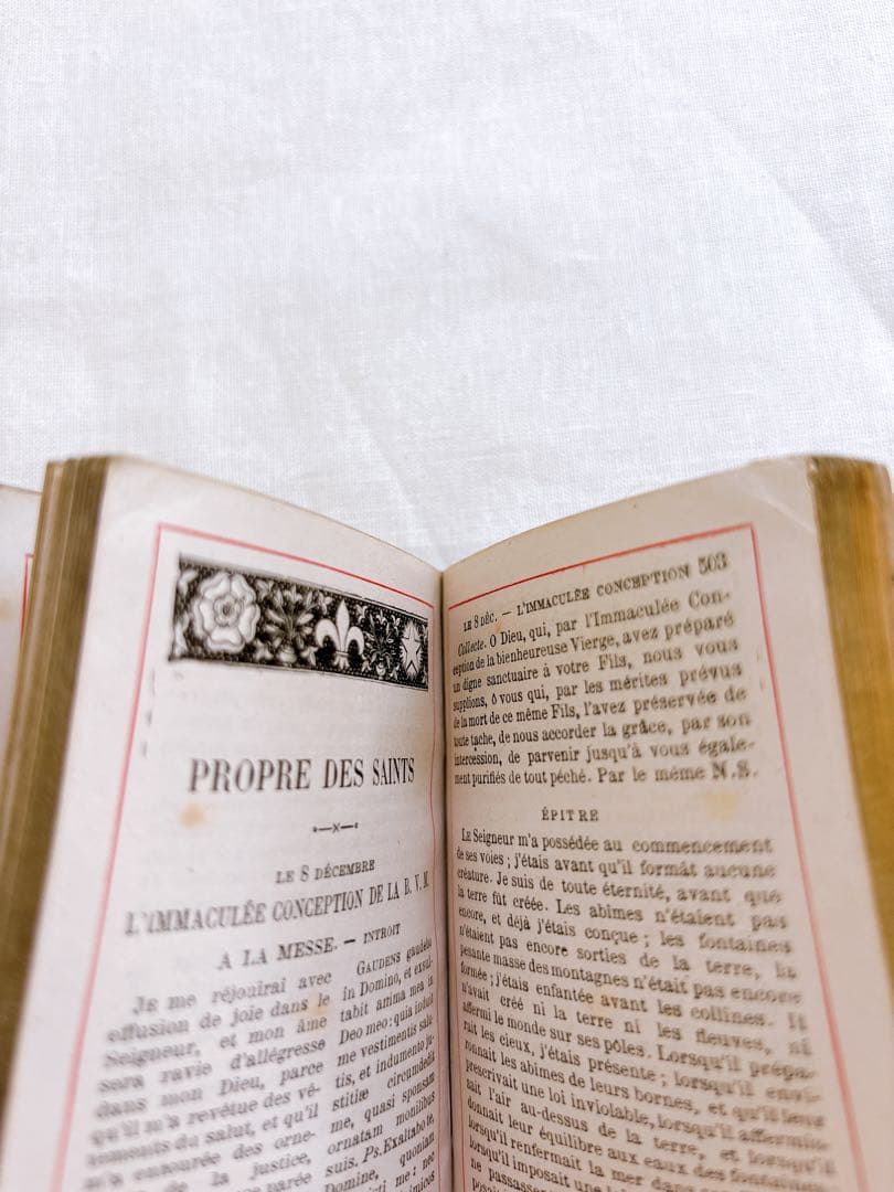 フランスアンティーク 1888年聖書・セルロイド