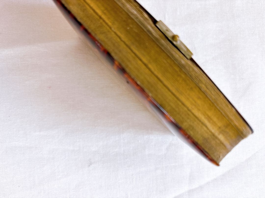 フランスアンティーク 1888年聖書・セルロイド