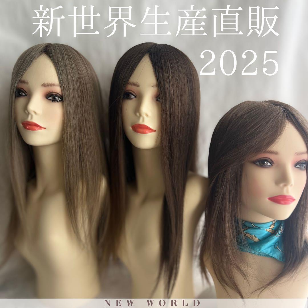 2025新世界人毛ウィッグフルウィッグシルクスキン医療ウィッグレミー