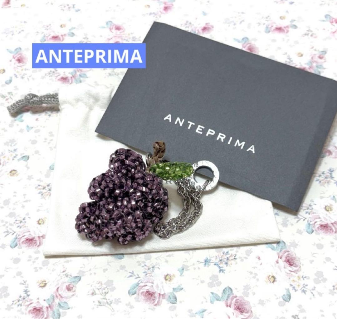☆アンテプリマ☆モティーヴォ フルッタ グレープ ワイヤーチャーム Online store News｜【公式】アンテプリマ オンラインストア【新規会員