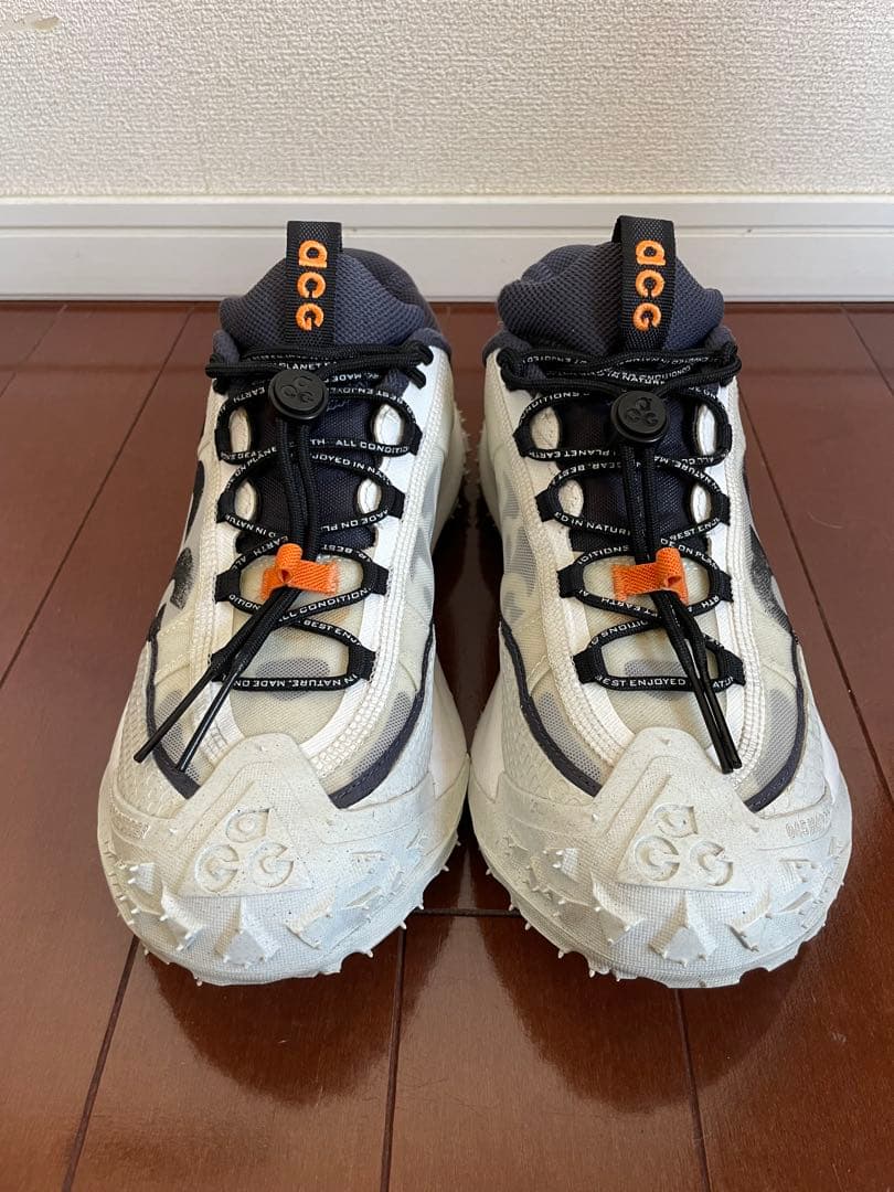 靴 NIKE ACG MOUNTAIN FLY 2 LOW 25.5cm