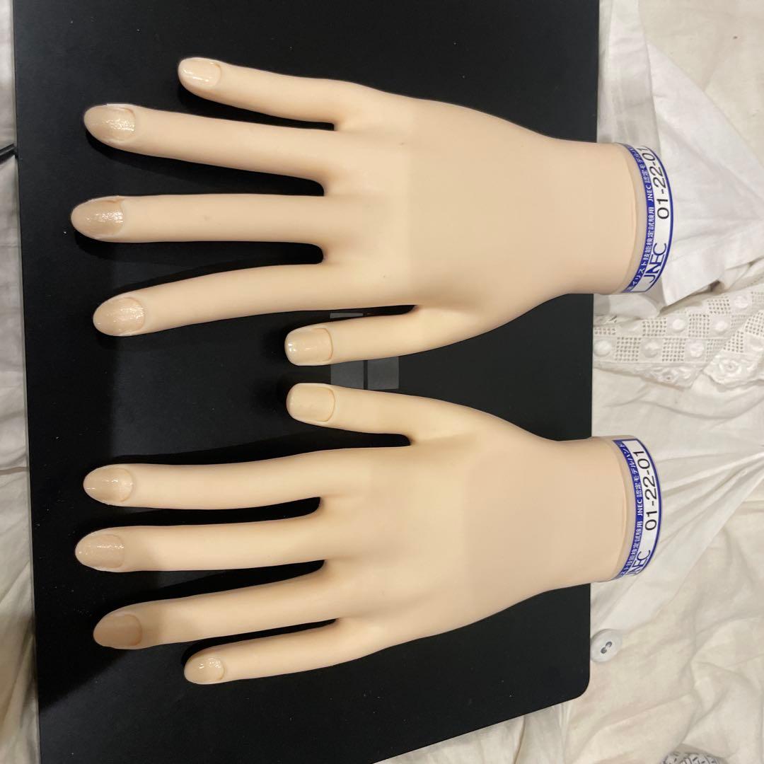 JNEC 認定モデルハンド 箱付き rednails web channel / ♪STモデルハンド セット(JNEC 第1期認定