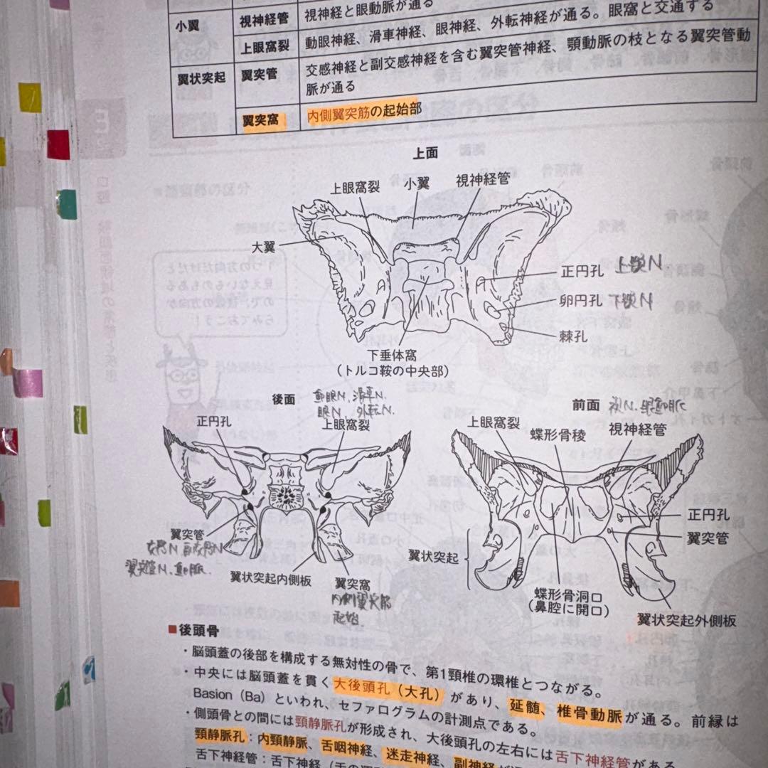 【おっちゃんさま専用】CBT PASS ガイド編 8版　最新版