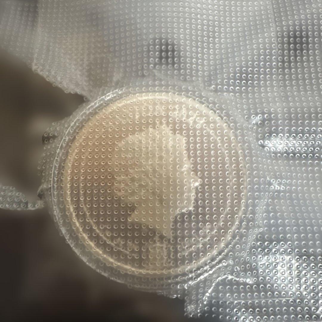 2023年 サモア 九尾の狐銀貨1オンス カプセル付き - メルカリ