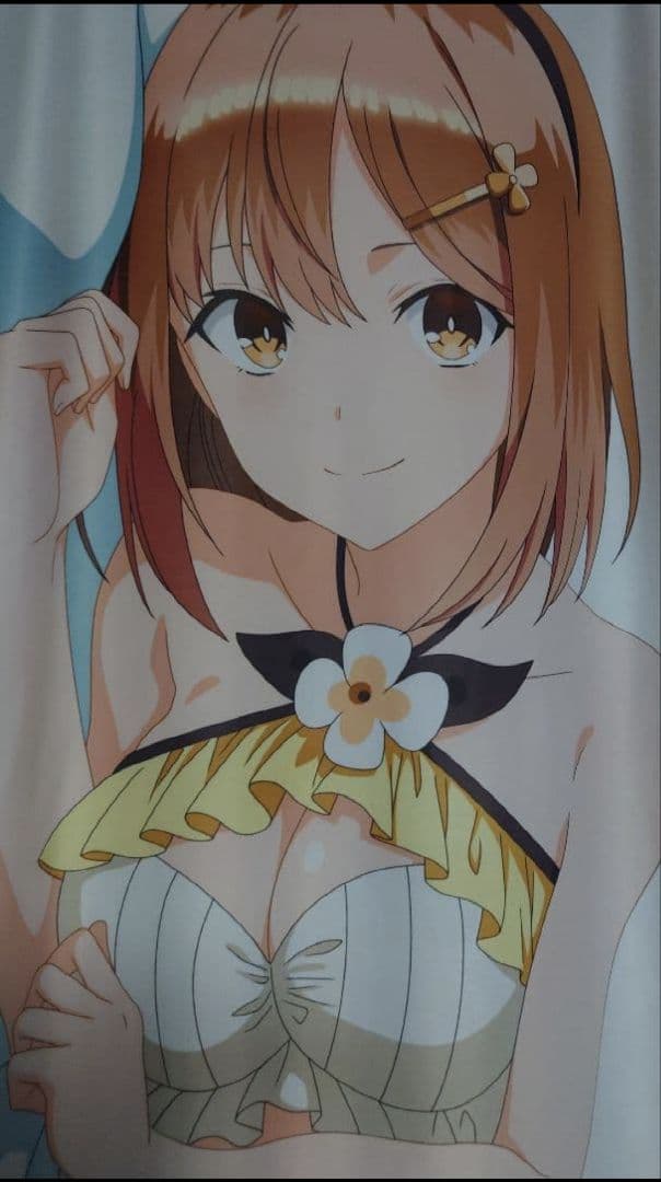 【ファスナーKK仕様】ライザリン・シュタウト 抱き枕カバー