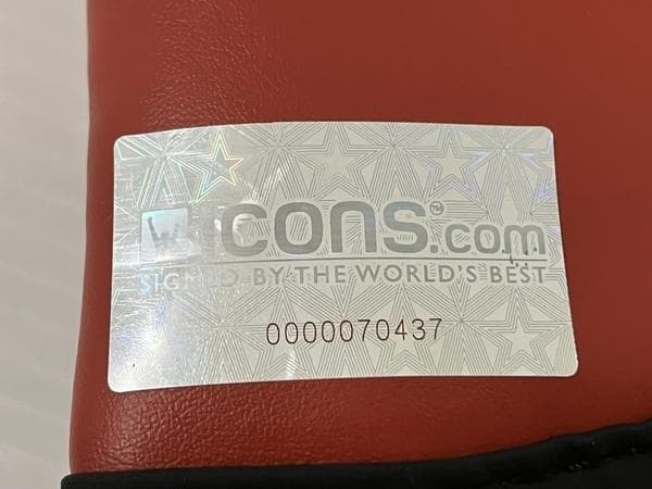 MIKE TYSON/マイクタイソン/直筆サイン入りボクシンググローブ/証明