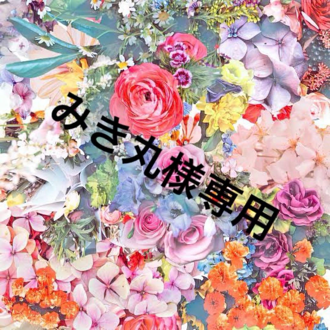 みき丸 Sneak Peek 2026年 新製品が着々と準備中。 YouTube”加藤誠司 擬似餌