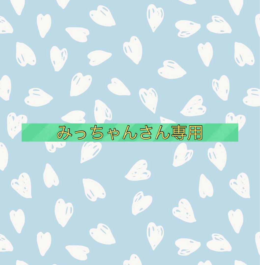 みっちゃんさん専用 東北農政局みどりの食料システム戦略啓発キャラクター『みっちゃん