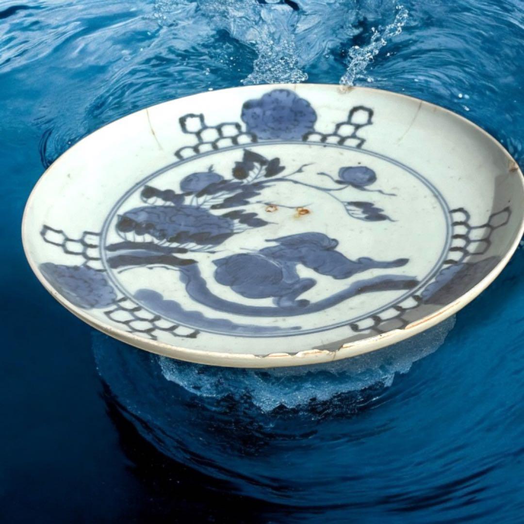 古伊万里 富貴長春 唐獅子牡丹図 染付 江戸期 緣起物 大皿 - メルカリ