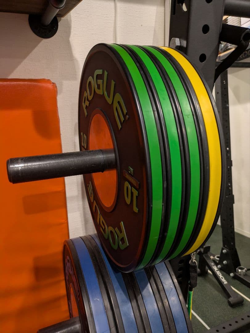 秘*地様 期間限定引き取り値引き Rogue ハーフラック パワーラック一式