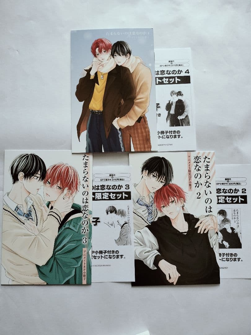 たまらないのは恋なのか ①②③④ アニメイト 小冊子付 - メルカリ