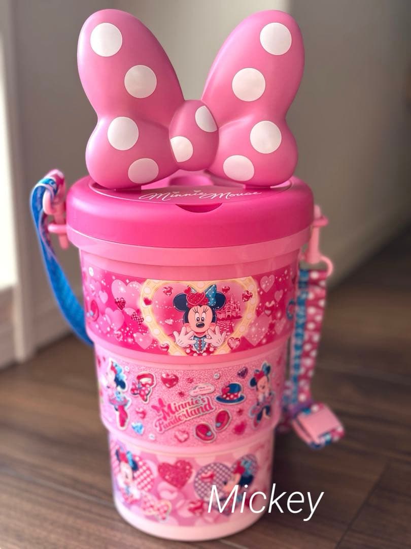 ディズニー パルパルーザ ミニーのファンダーランド ポッ