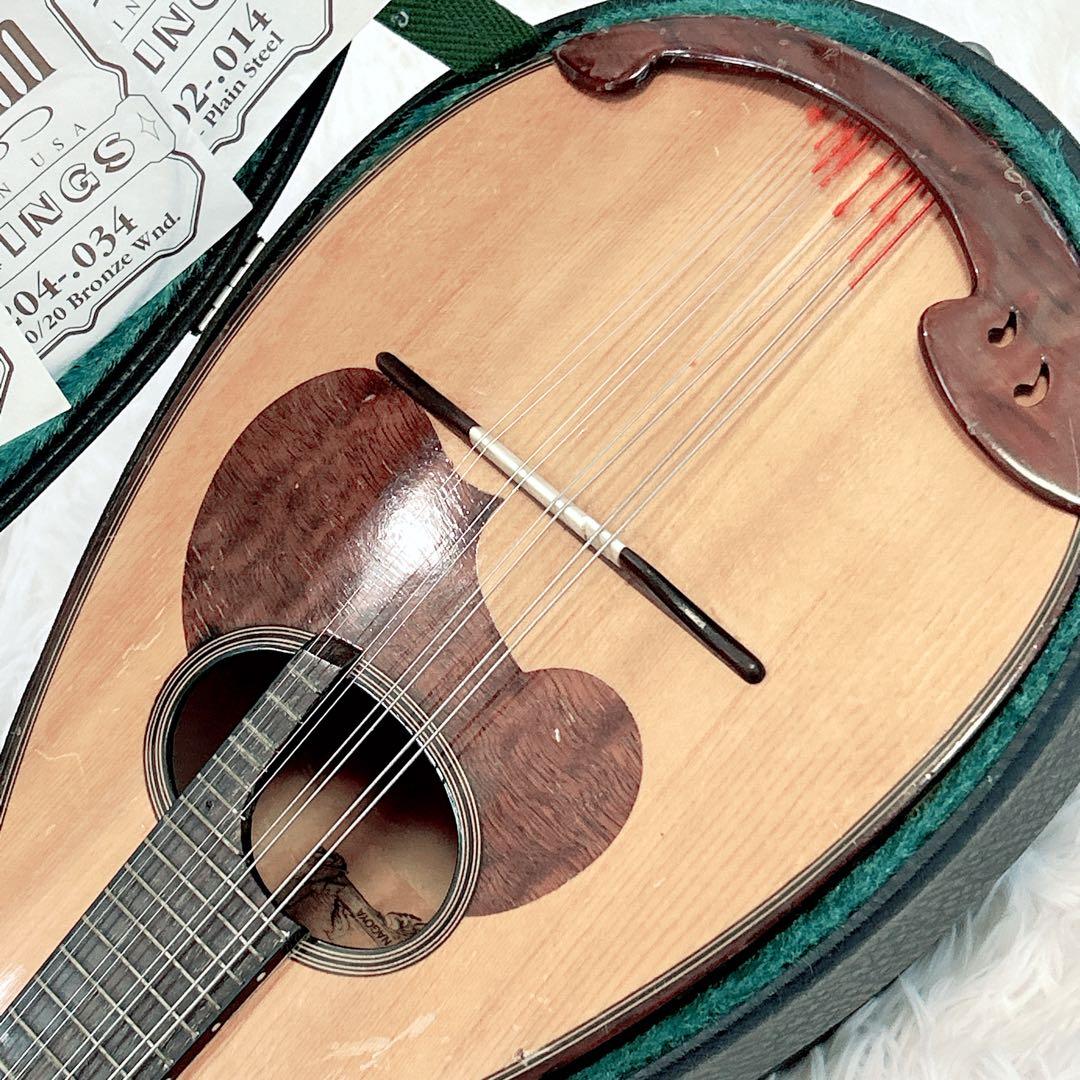 SUZUKI M-30 マンドリン ハードケース付 弦セット付 スズキ 名古屋