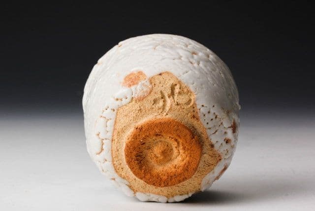 佳香】玉置保夫 志野ぐい呑 共箱 共布