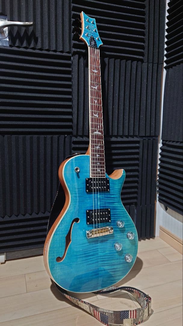 PRS ZACH MYERS シグネチャーモデル PRS SE Zach Myers - Kauffmann's Guitar Store