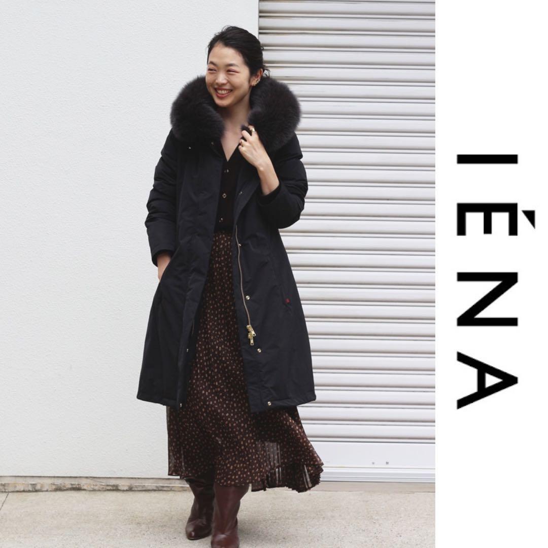 IENA WOOLRICH IENA 別注 BOW BRIDGEダウンコート - メルカリ