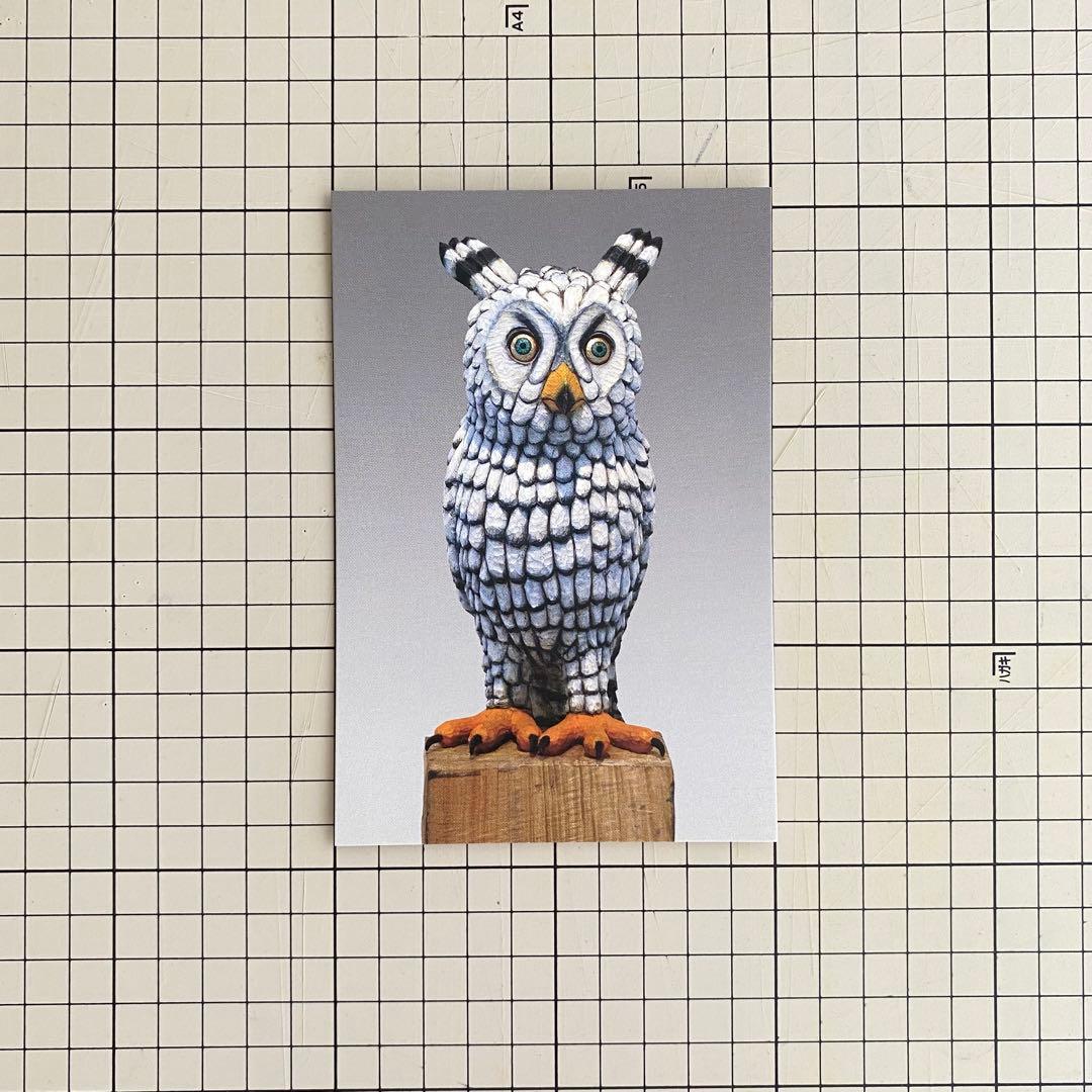 三沢厚彦 フクロウ ポストカード ANIMALS展 アニマルズ - メルカリ
