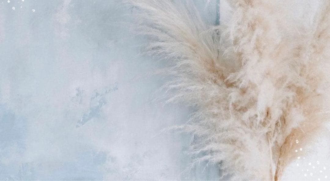 洗顔料 mi df823aa0a015453d2b5566c8365a77