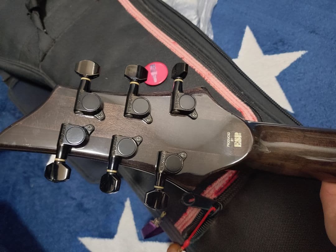 J*様 エレキギター Edwards Pierrot Aiji? ケース付 - メルカリ