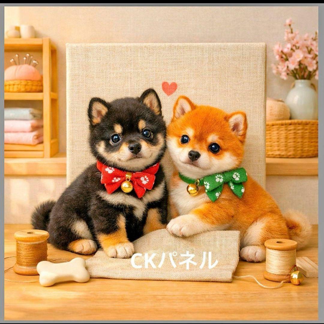 激レアチワワ、パグ、トイプー、柴犬、ポメラニアンパネル生地