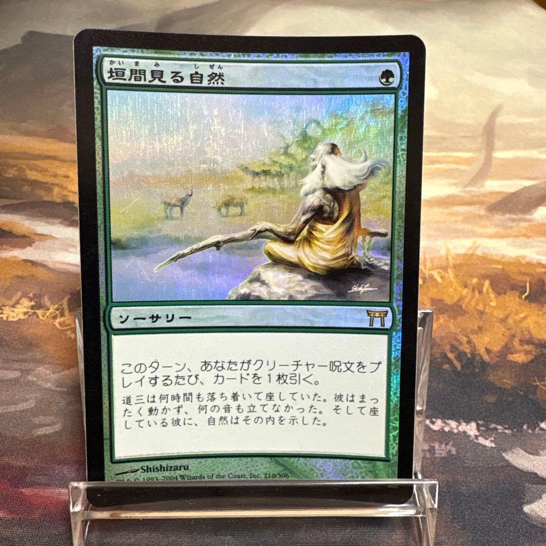 垣間見る自然 日本語 Foil FOIL] 森/Forest (全面アート版・チョコボトラック仕様) 【日本語版