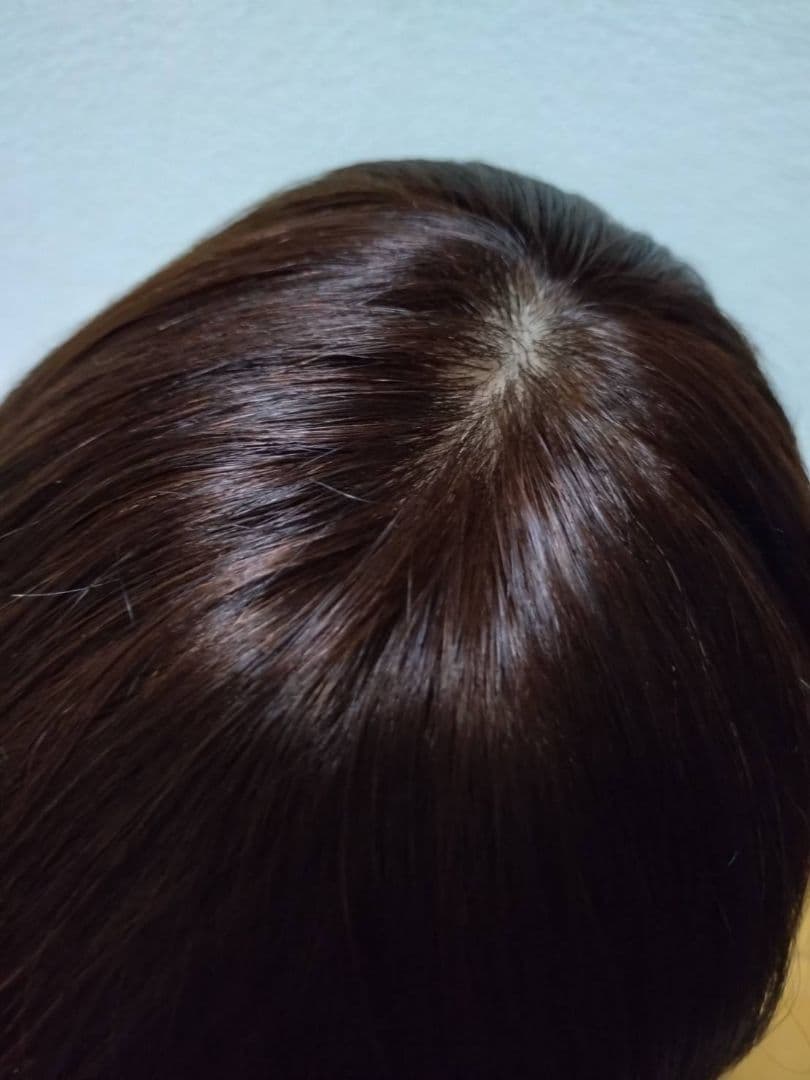 人毛100%　Sサイズ　ブラウン　フルウィッグ 楽天市場】人毛ウィッグ【選べるS/Mサイズ×3スタイル】 「ナチュ