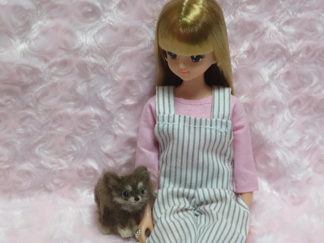 羊毛フェルト 犬 チワワ チョコタン パーティーカラー ミニチュア