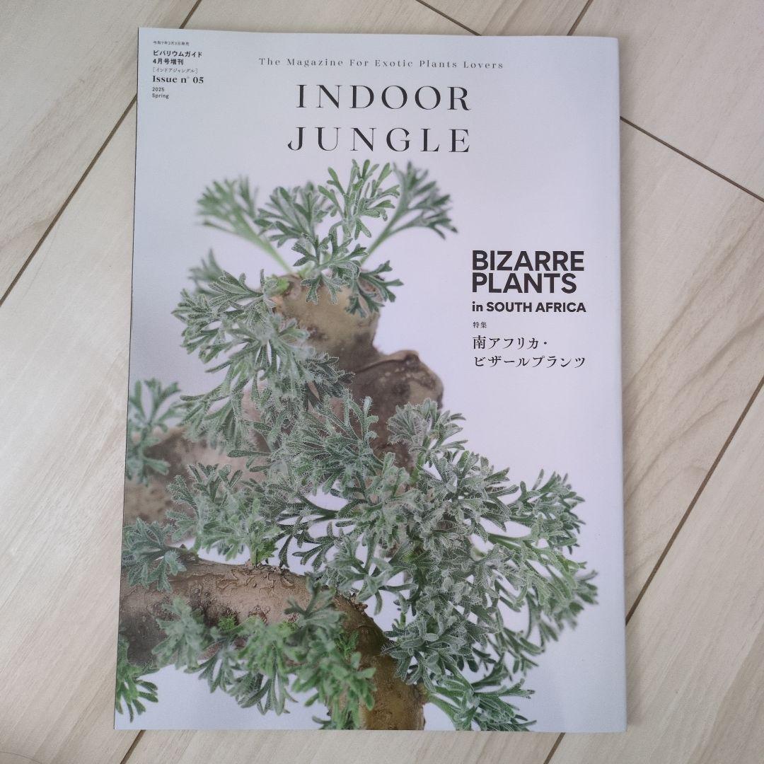 INDOOR JUNGLE No.05 - メルカリ