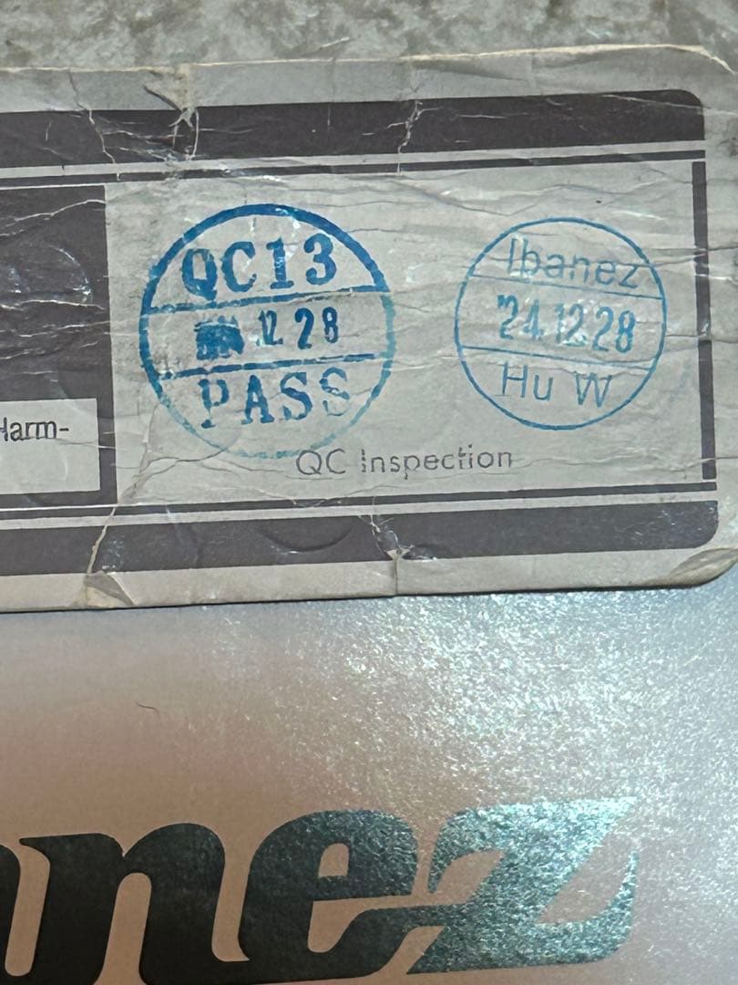 Ibanez RGV250-BK ソフトケース アーム 説明書付属 値下げ交渉〇