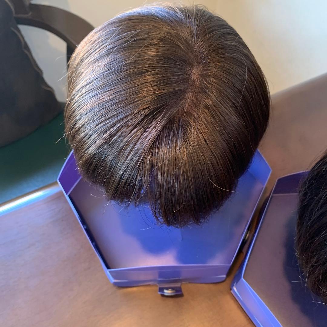 ダークブラウン ショートボブウィッグ フォンテーヌ 2つ