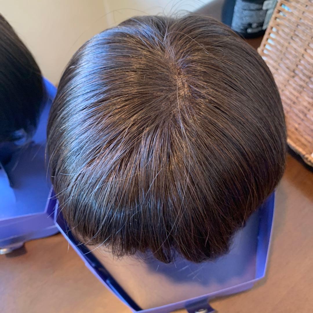 ダークブラウン ショートボブウィッグ フォンテーヌ 2つ