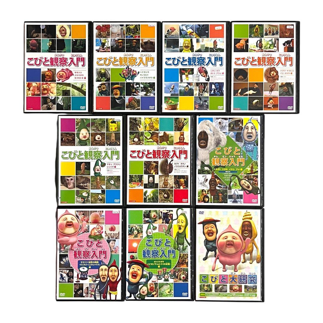新品ケース DVD 「こびと観察入門 全9巻+こびと大研究」 全10巻 セット