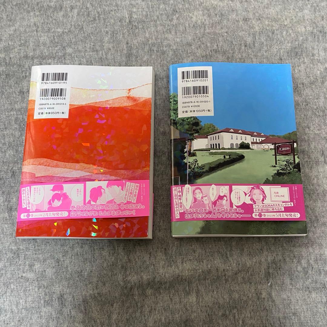 【全巻セット】私のことを憶えていますか1～14巻