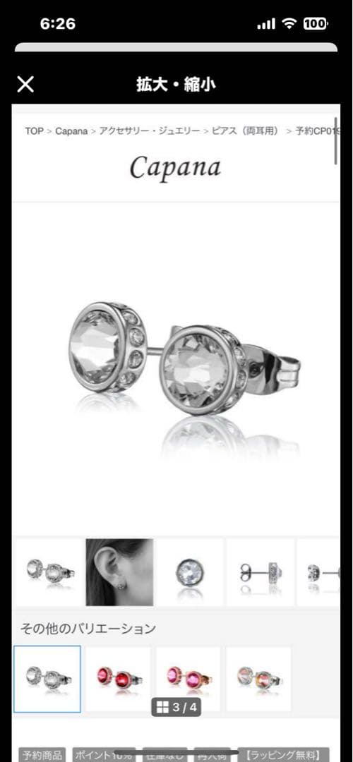 あい様専用 ピアスふたつ Capana CP019-SLV ワンポイントピアス - メルカリ