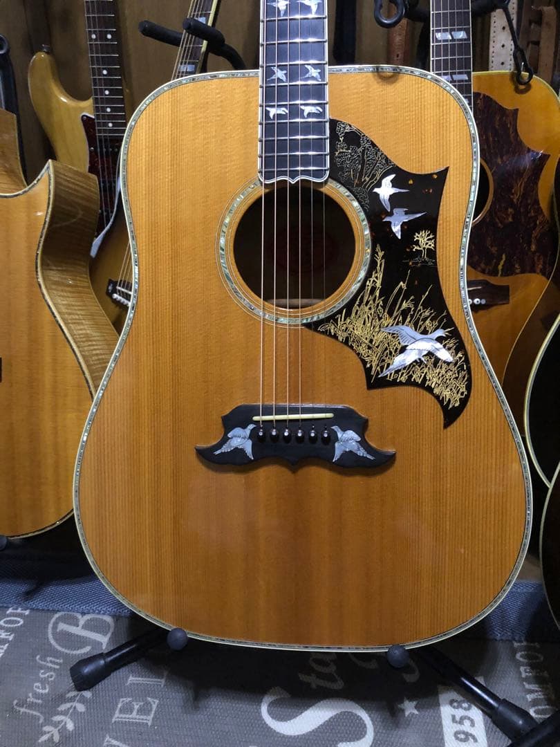 GIBSON DOVE’S IN FLIGT 2001年製 Gibson Doves In Flight|ドルフィンギターズ