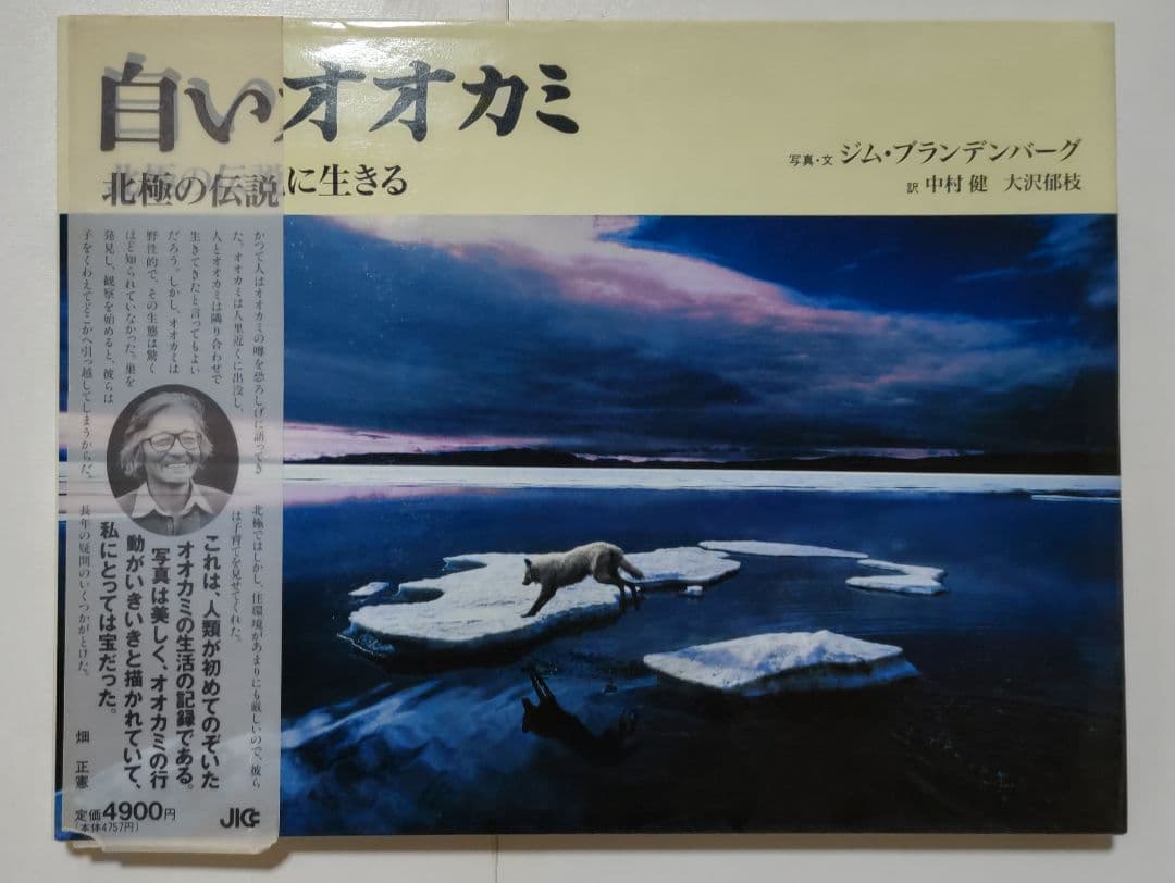 白いオオカミ ジム・ブランデンバーグ - メルカリ